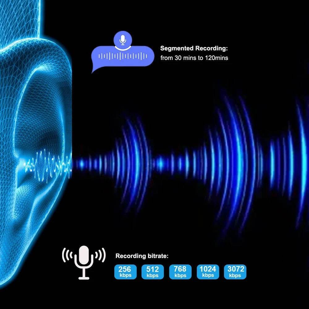 WAV Voice-Activated Dictaphone & MP3 Player - Nic's Electronics
