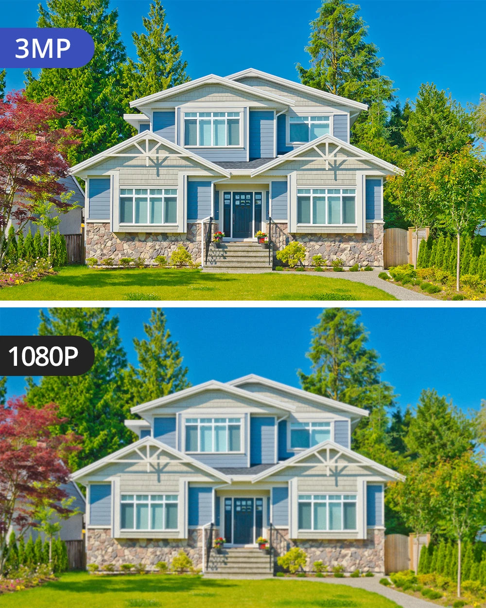 SANNCE 8CH 3MP Wireless Surveillance Kit NVR 3MP Wifi IP66 Weatherproof Cameras Night Vision H.264+ CCTV Security Camera System