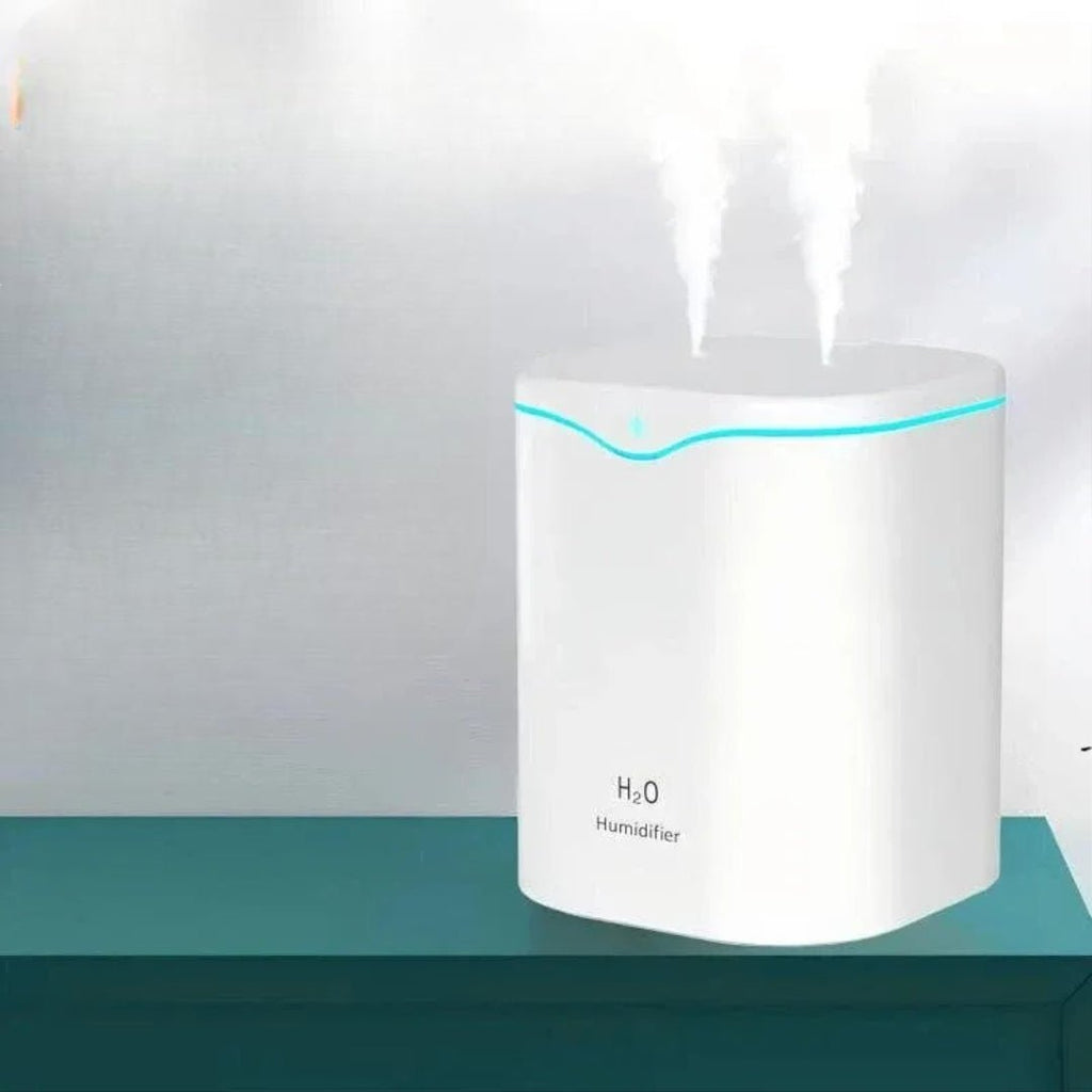 Nic's Electronics USB Double Spray Air Humidifier